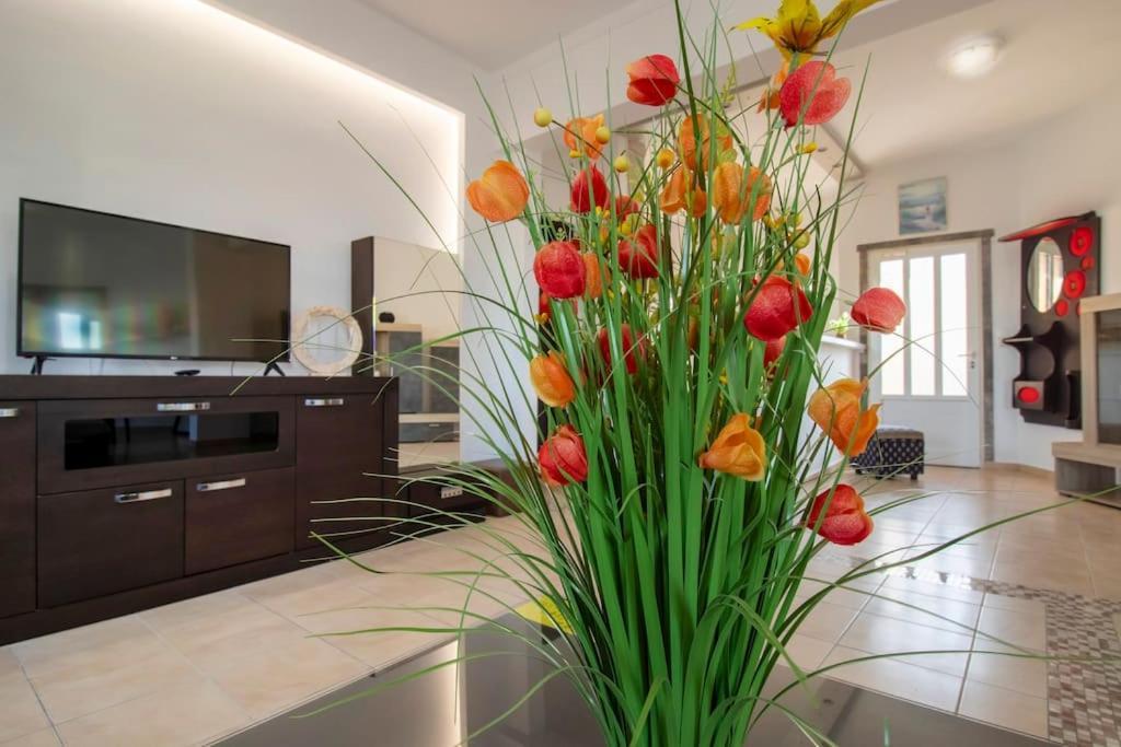 Apartment Family Next To Hall Gazi